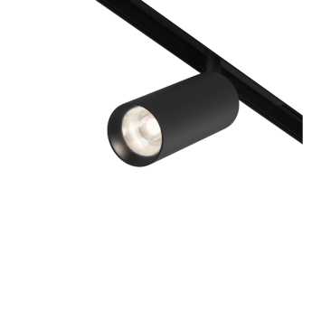 Трековый светильник MAYTONI ARTISAN TR097-2-12W4K-M-BB